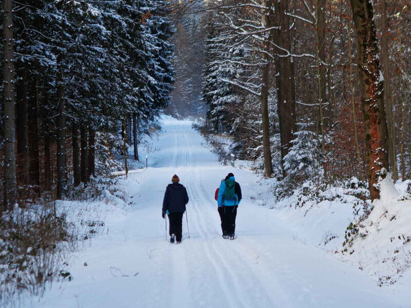Winterwandern im Bielatal